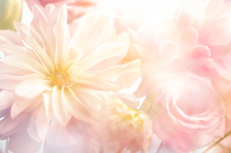 AdobeStock_105654529-min