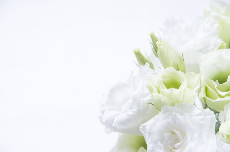 AdobeStock_224465825-min